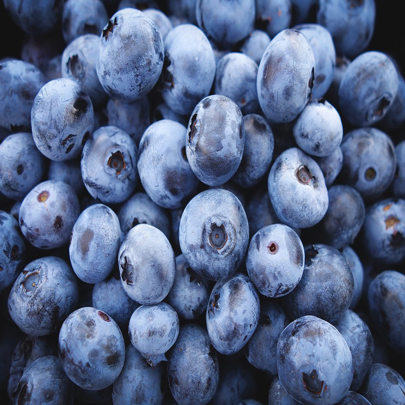 بذر بلوبری بلوگلد سانیا سید مدل B2