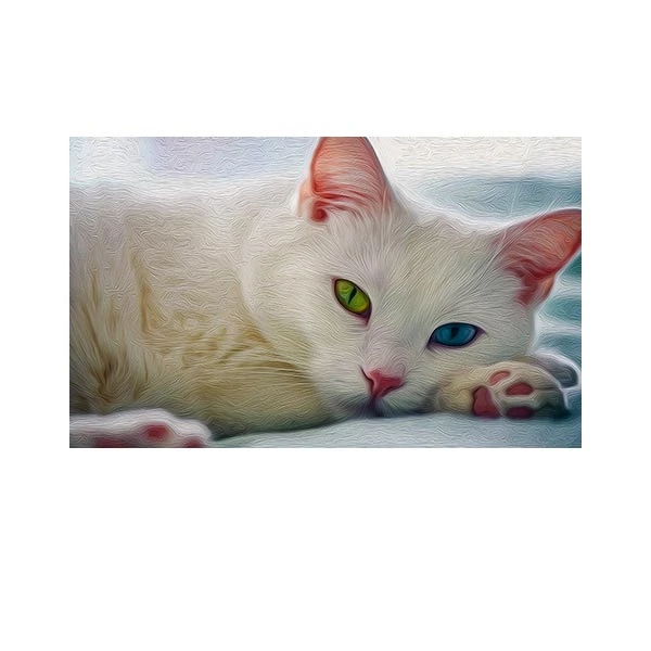   پادری مدل حیوانات کد HSHMA0008/ سایز 76x46 سانتی متر