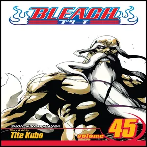 مجله Bleach 45 آگوست 2012