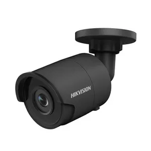 دوربین مداربسته تحت شبکه هایک ویژن مدل DS-2CD2043G0-I (Black)