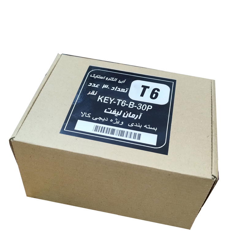 کلید درب آسانسور آرمان لیفت مدل KEY-T6-B-30P بسته 30عددی