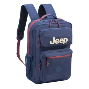 کوله پشتی مدرسه دلسی مدل js016b کد 2747610