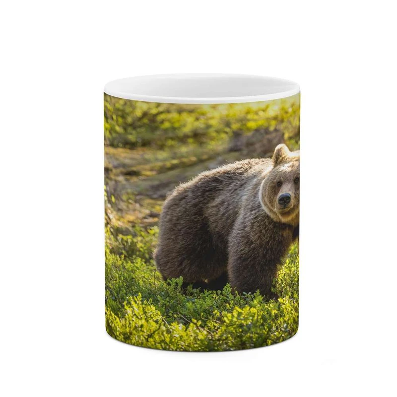 ماگ کاکتی مدل خرس کد mgh16523