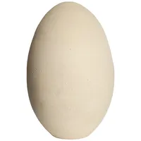 تخم شترمرغ سفالی کد ۶