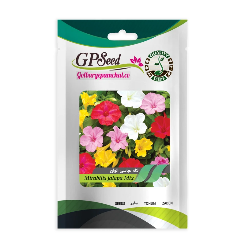 بذر گل لاله عباسی پابلند الوان گلبرگ پامچال کد GPF-077