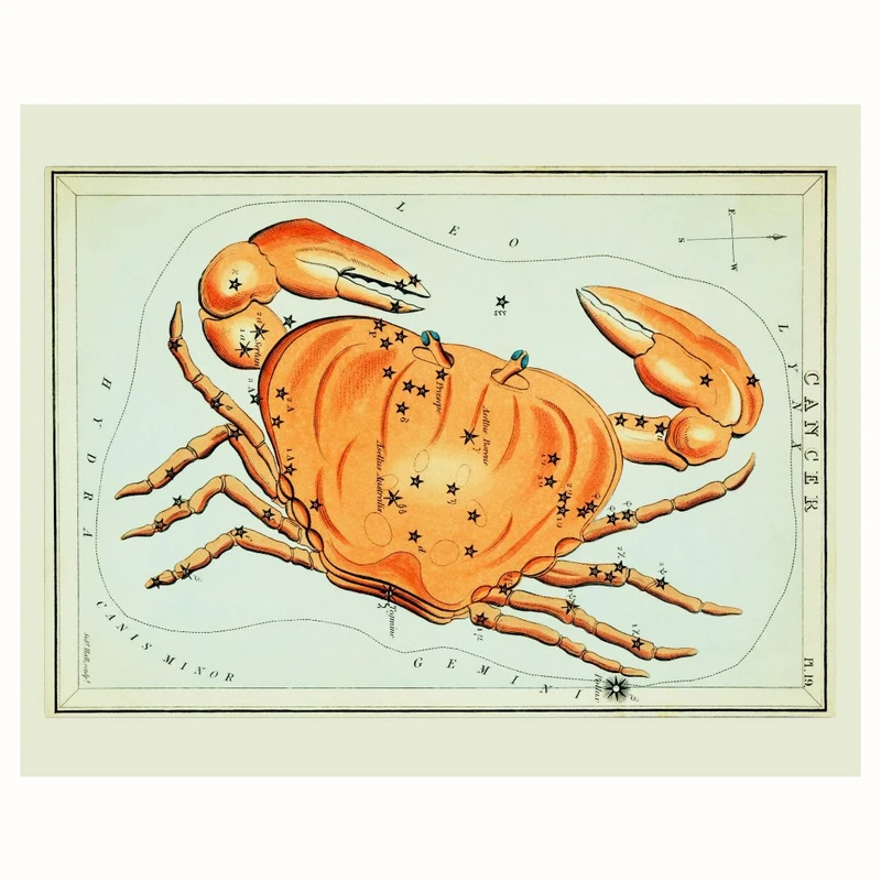 پوستر مدل صورت فلکی زودیاک سرطان 