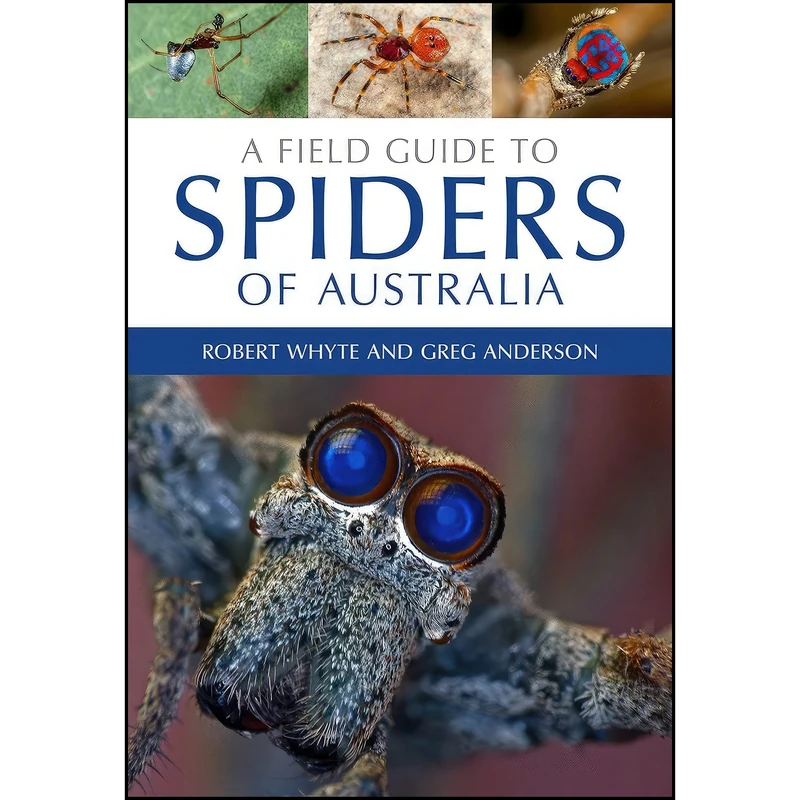 کتاب A Field Guide to Spiders of Australia اثر جمعي از نويسندگان انتشارات CSIRO Publishing