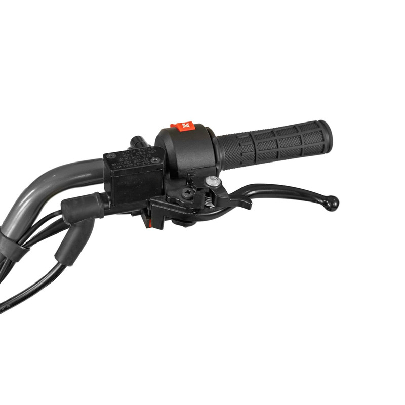 موتور سیکلت چهار چرخ  راپیدو مدل Hammer 125 سال 1403