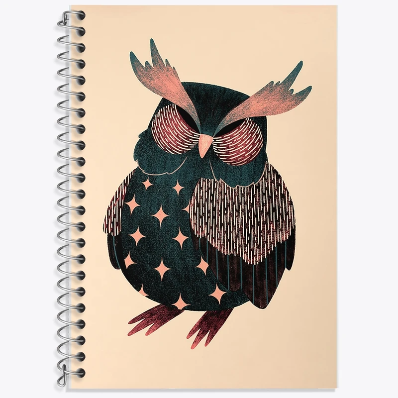 دفتر زبان 50 برگ خندالو مدل سه خط طرح جغد کد F211