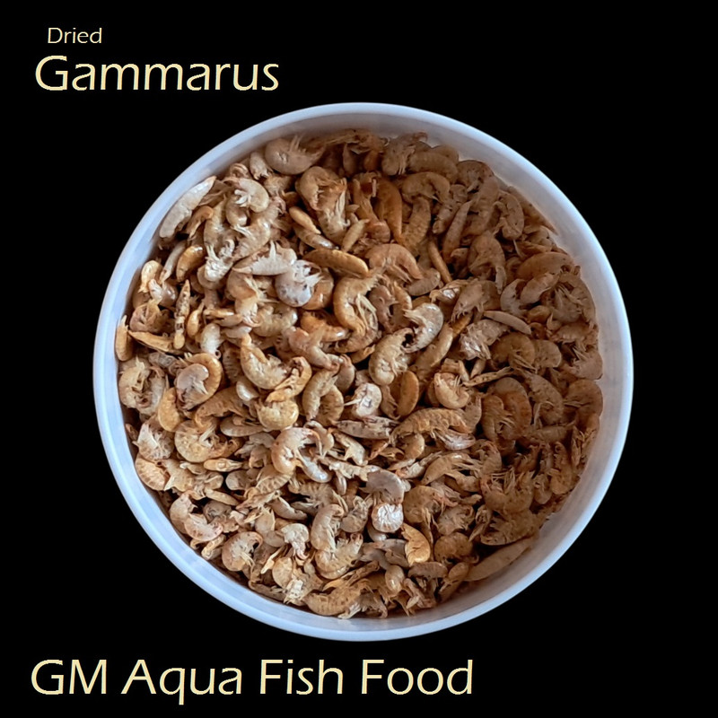 غذای ماهی جی‌ام آکوآ مدل گاماروس وزن 30 گرم