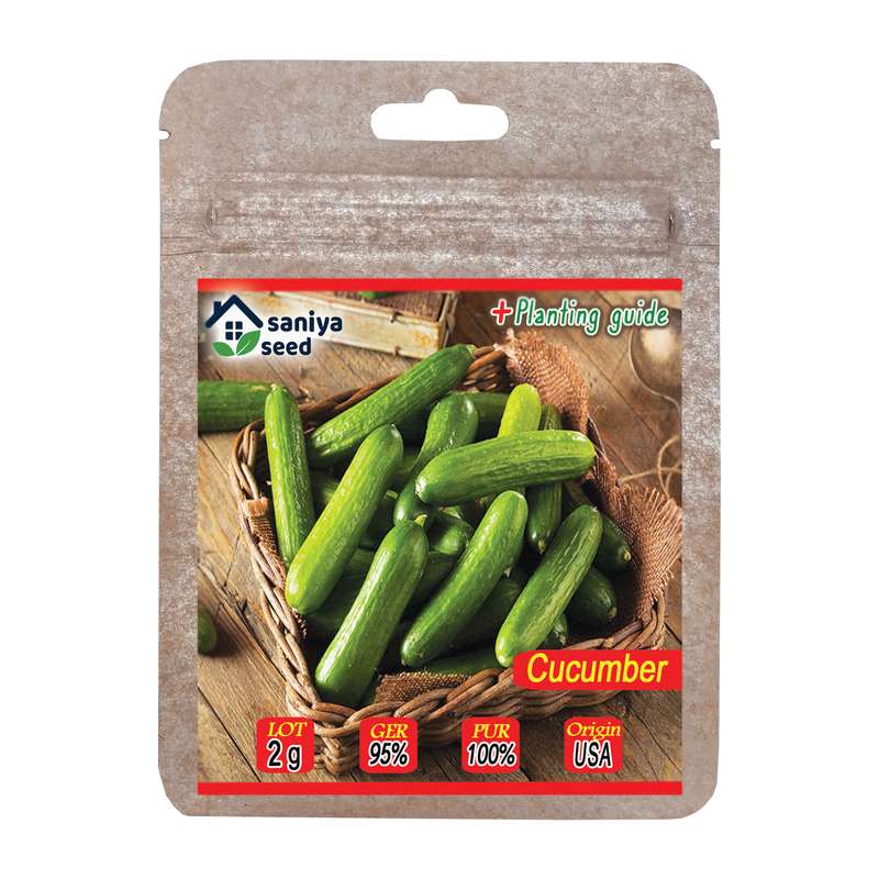 بذر خیار بوته ای سانیا سید مدل ss4