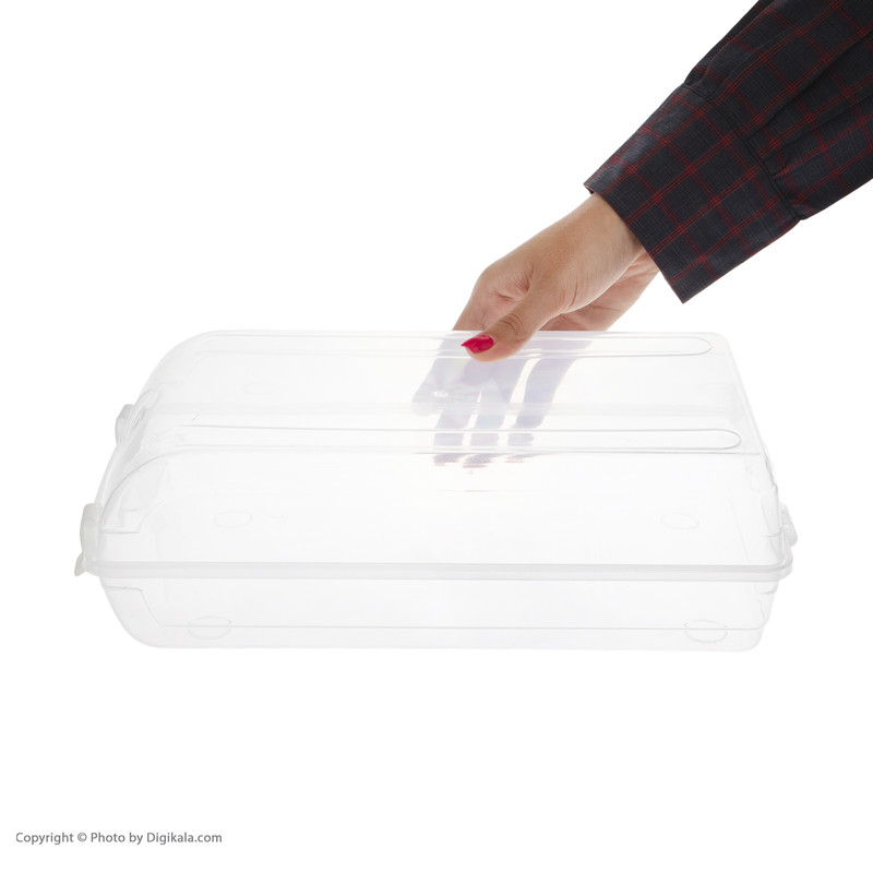 باکس کفش رزگلد مدل زنانه صیام کد 6675