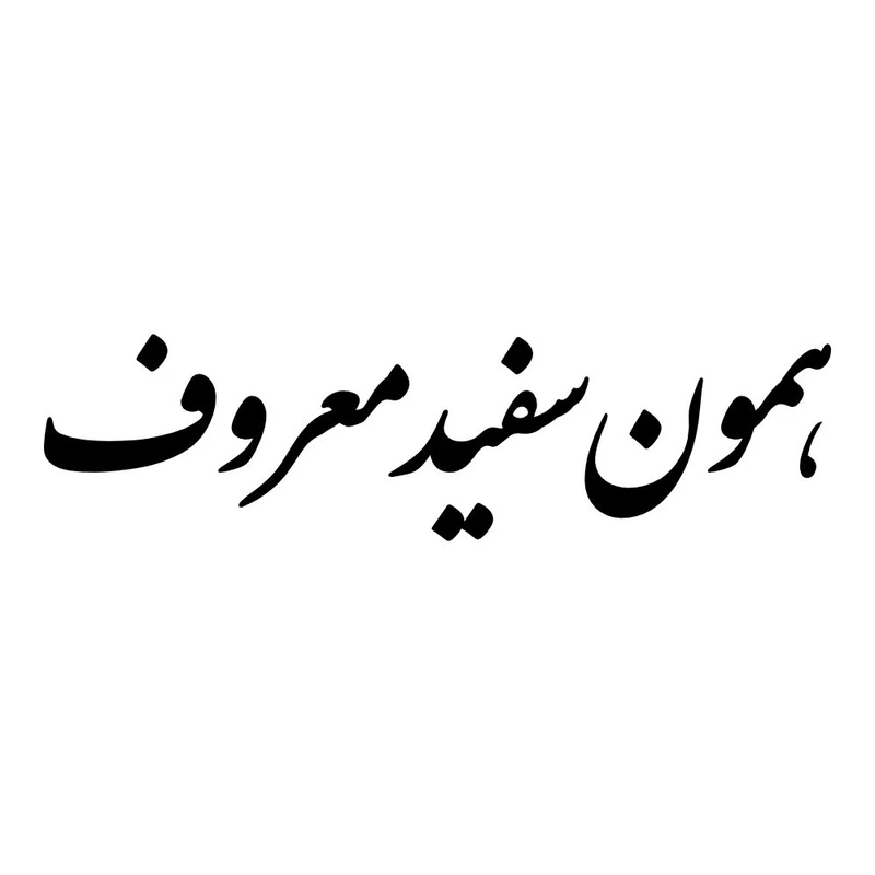 برچسب بدنه خودرو طرح همون سفید معروف کد MT-B446