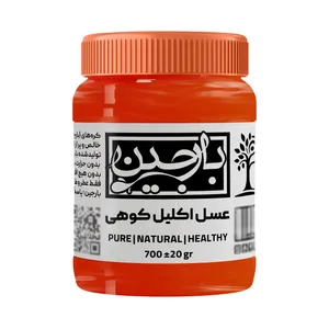 عسل اکلیل کوهی عموعطار بارجین _ 700 گرم  