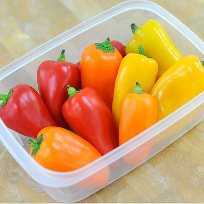 بذر فلفل چارلیستون میکس سانیا سید مدل B5