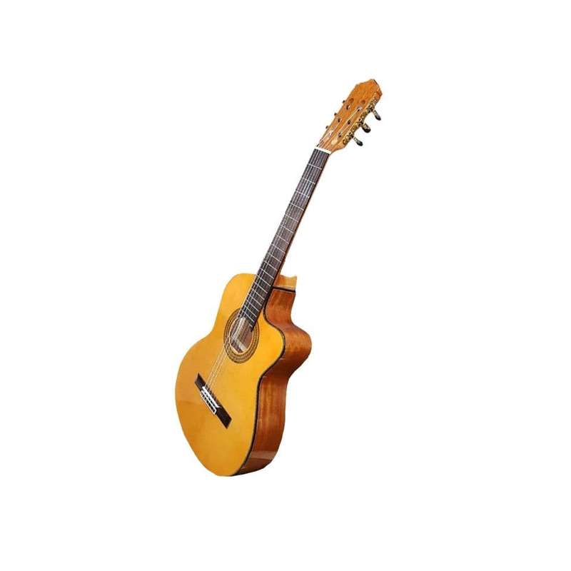 گیتار کلاسیک پالادو مدل CG80 CUT