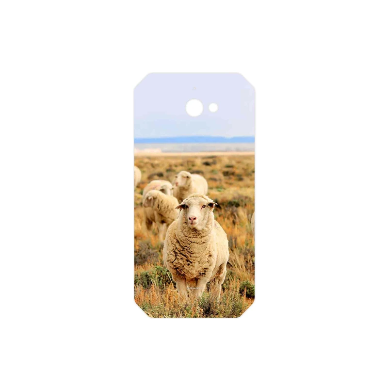 برچسب پوششی ماهوت مدل Sheep مناسب برای گوشی موبایل کاترپیلار S50