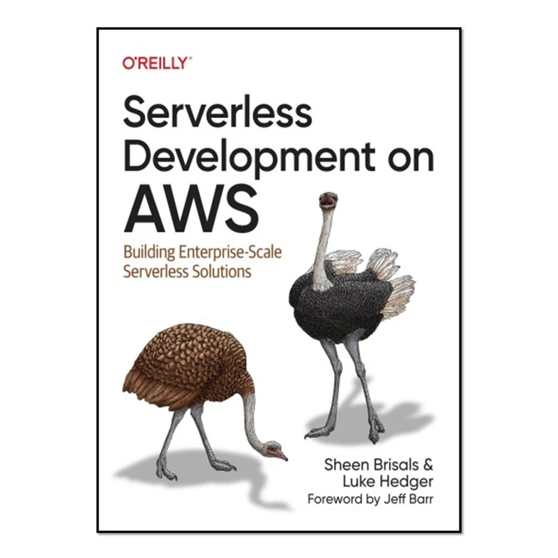 کتاب Programming AWS Lambda اثر John Chapin انتشارات آوای مؤلف