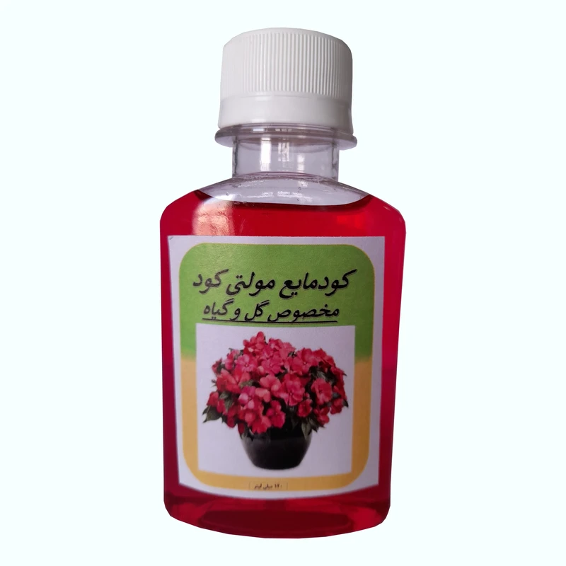 عکس شماره 2