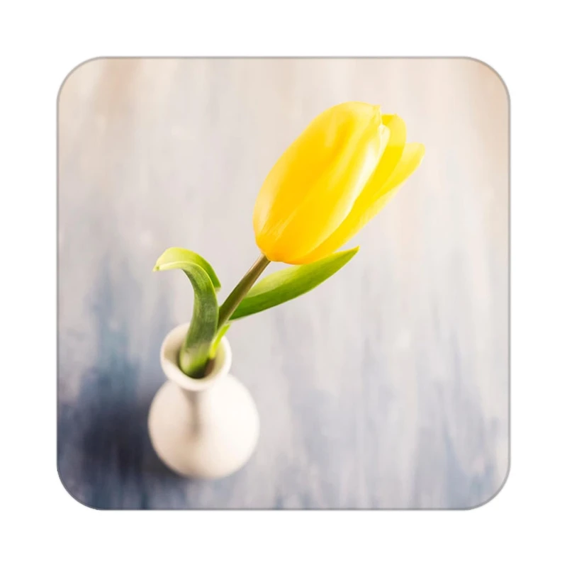 زیر لیوانی کاکتی طرح گل مدل mp19820