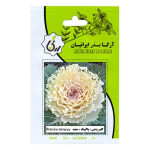 بذر کلم زینتی پا کوتاه سفید آرکا بذر ایرانیان مدل C117