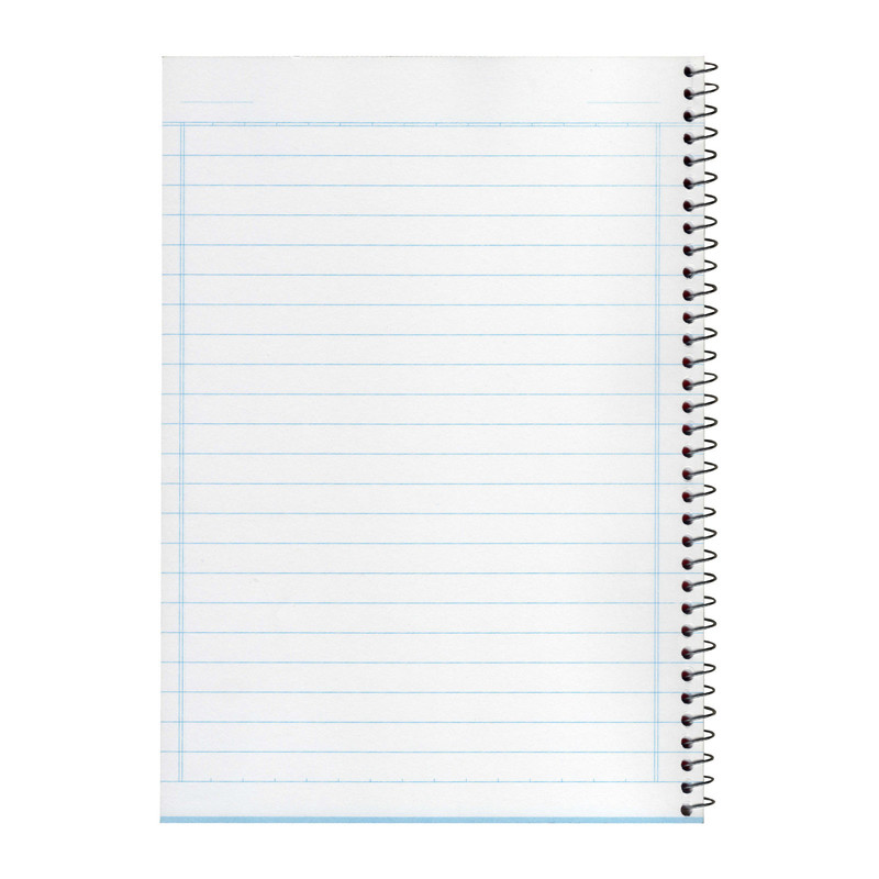 دفتر 100 برگ آلما طرح BIRDS AND FLOWERS مدل طلقی کد 7116