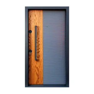 درب ضد سرقت مدل ليان