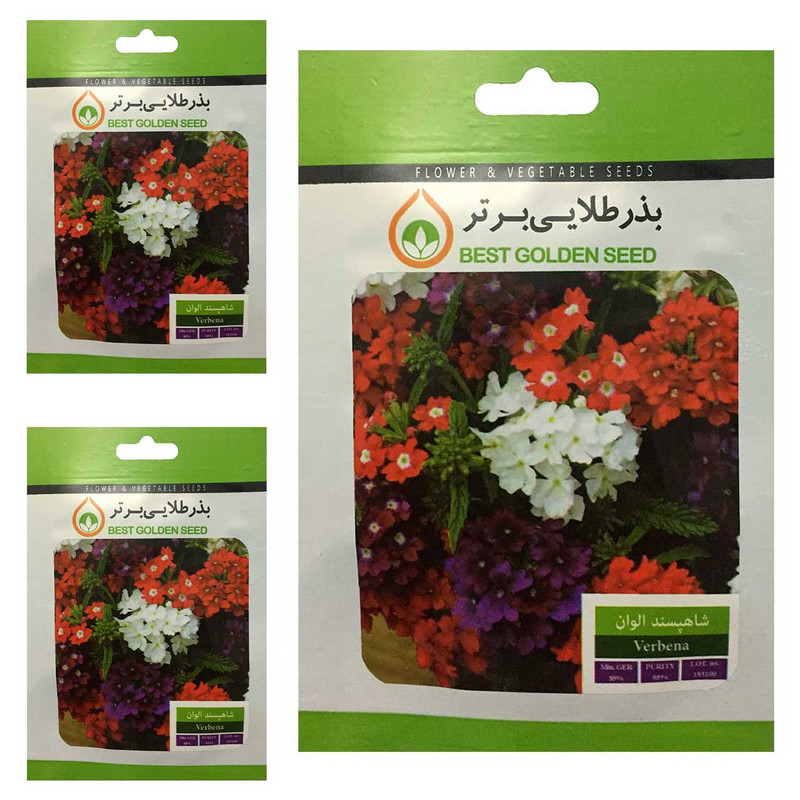 بذر گل شاهپسند الوان بذر طلایی برتر کد BTB-20 مجموعه 3 عددی