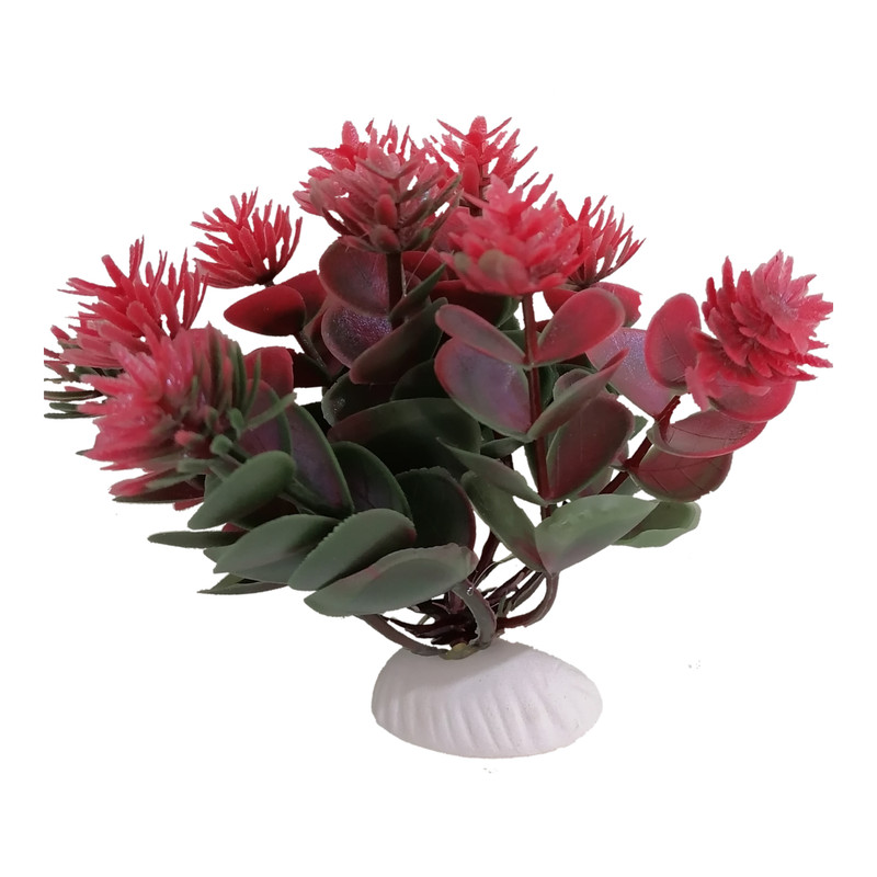 گیاه تزیینی آکواریوم مدل بنسای کوچک