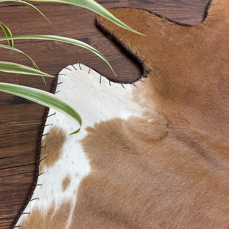 فرش پوست انار لدر مدل AN205-P255