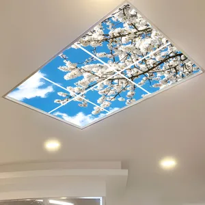 تایل سقفی آسمان مجازی مدل SK-421-2x3 سایز 60x60 مجموعه شش عددی