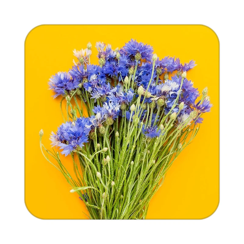 زیر لیوانی کاکتی طرح گل مدل mp19060