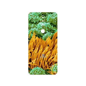 MAHOOT Atom Universe 6 Cover Sticker for Nokia 2.4
