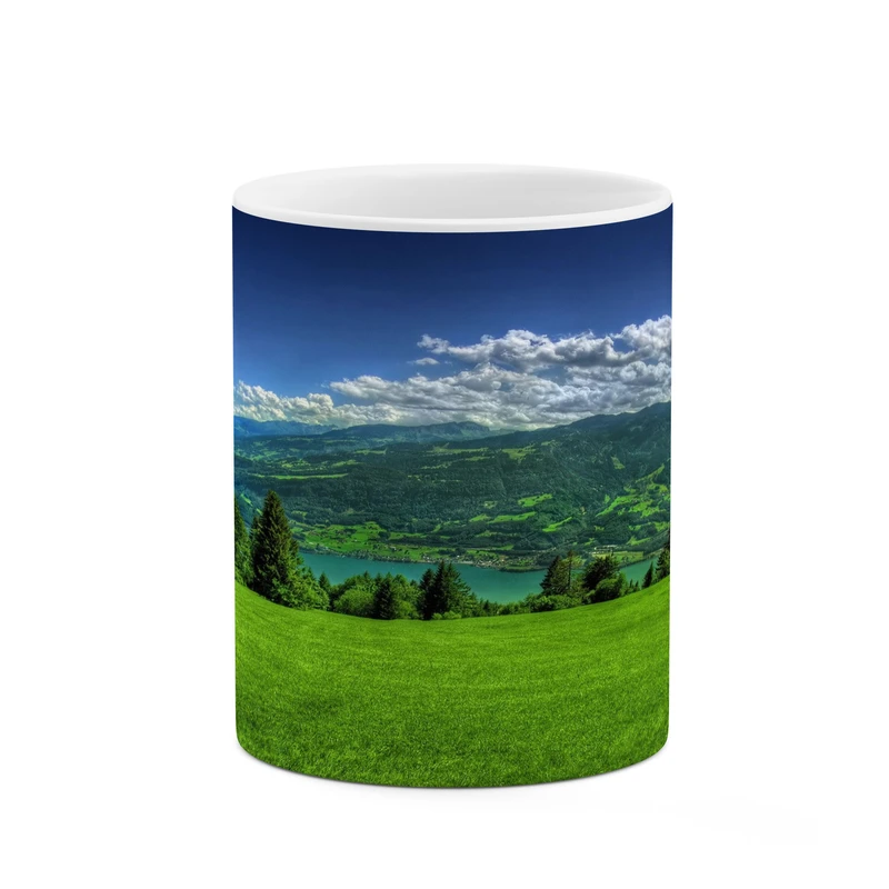 ماگ کاکتی مدل منظره کد mgh17799