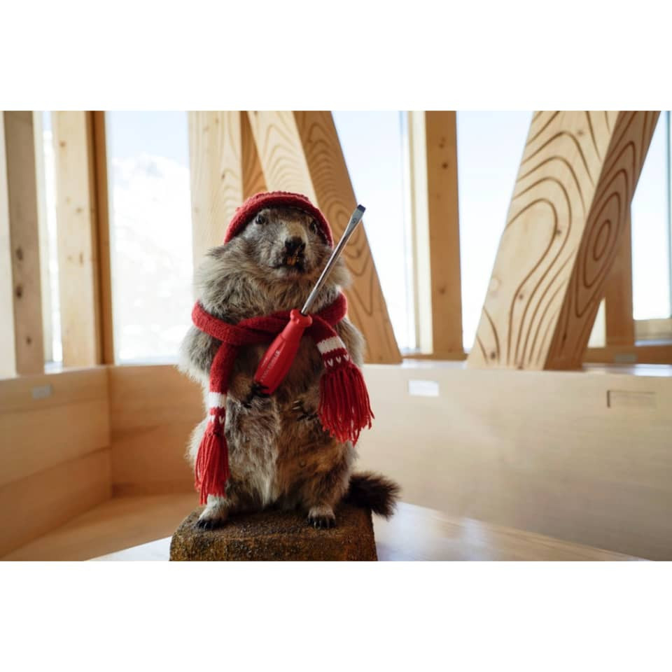 پیچ گوشتی ستاره ای سوئیس تولز مدل PB 8400.4-40 پیچ گوشتی ستاره ای سوئیس تولز مدل PB 8400.4-40