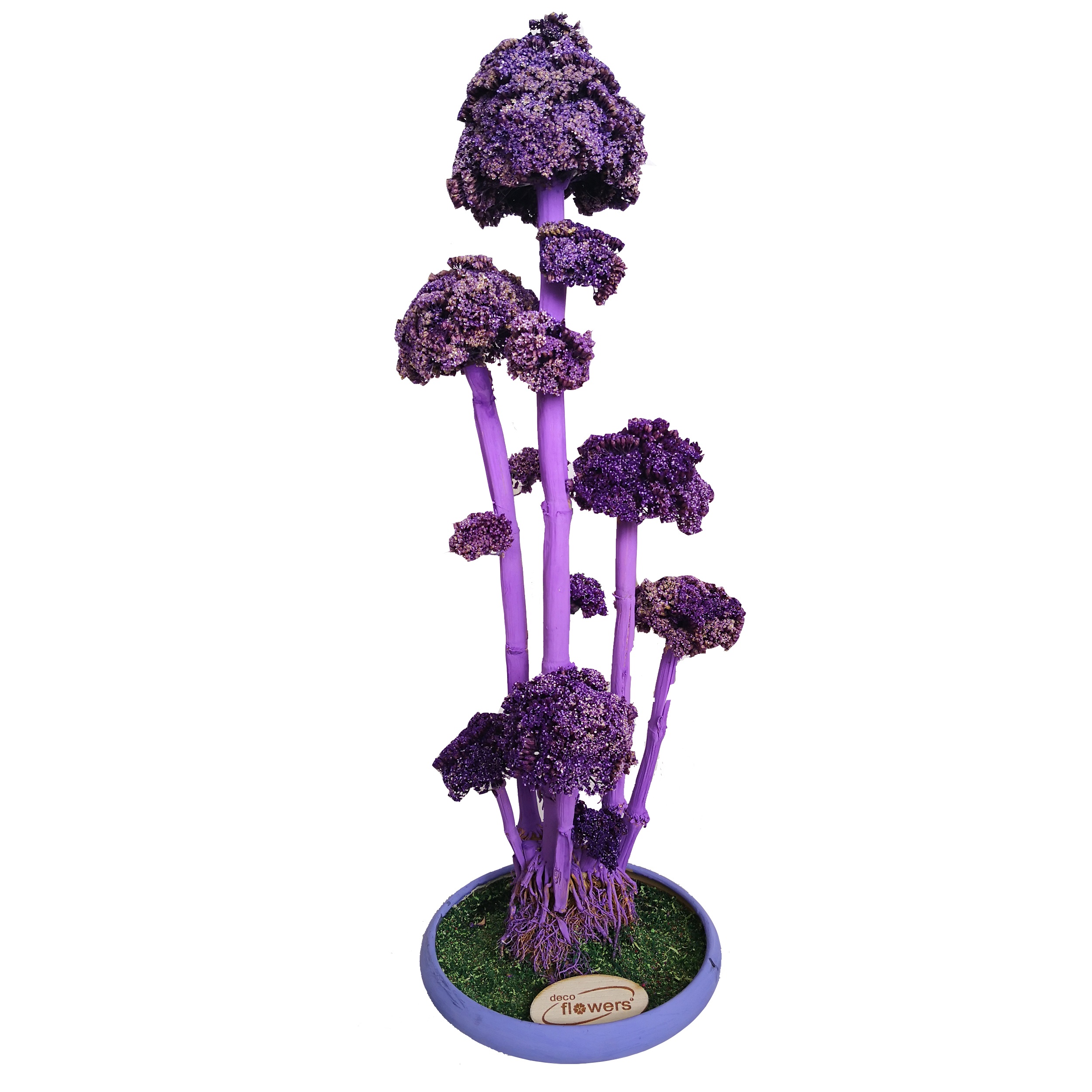 گلدان به همراه درختچه خشک دکوفلاورز مدل 120