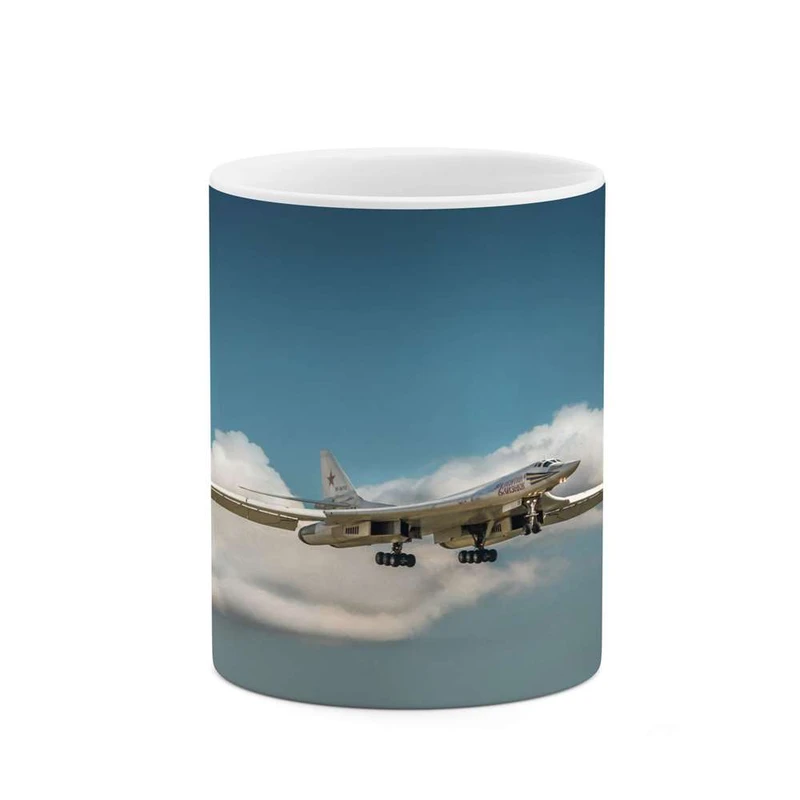 ماگ کاکتی مدل هواپیما کد mgh14053