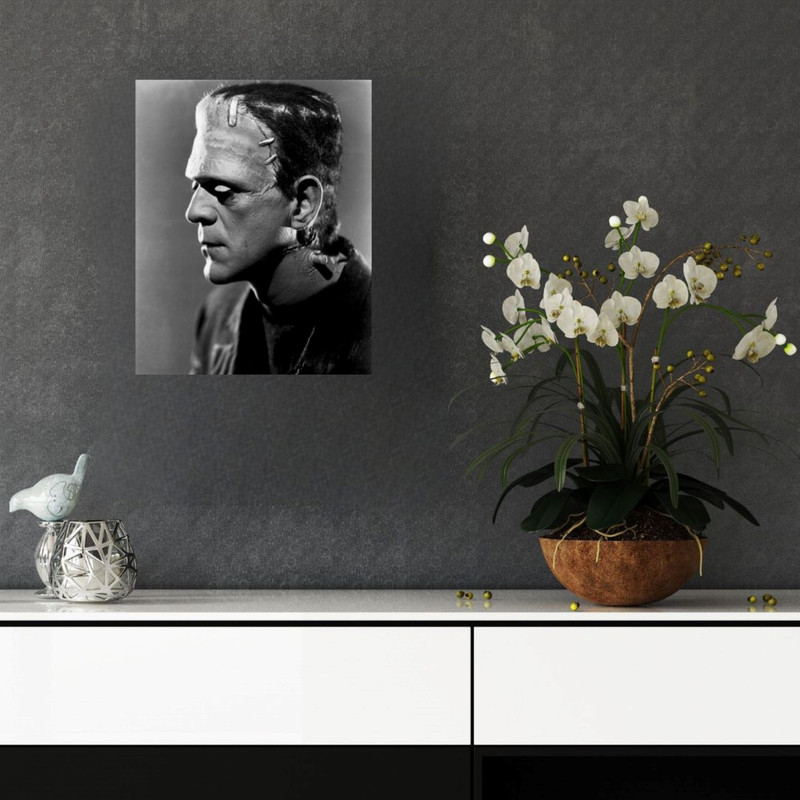 پوستر مدل  فیلم فرانکنشتاین  