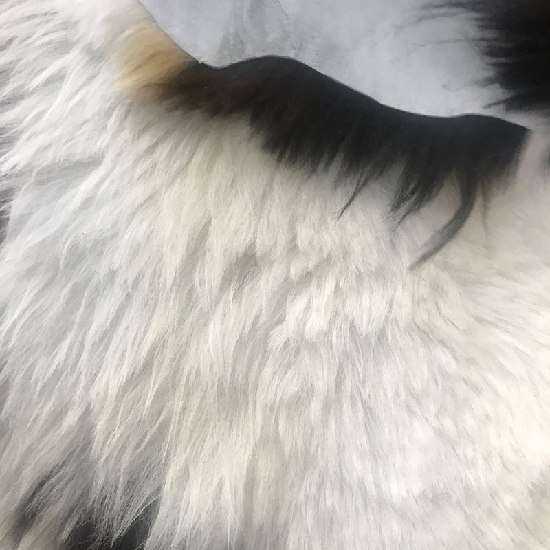 فرش پوست انارکارپت مدل خز طبیعی گوسفند کد GN 110 فرش پوست انارکارپت مدل خز طبیعی گوسفند کد GN 110