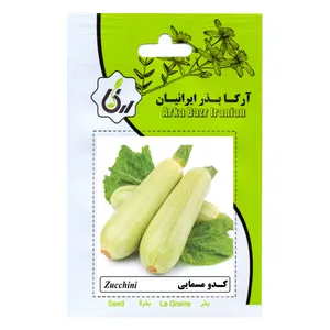 بذر کدو مسمایی آرکا بذر ایرانیان مدل B123
