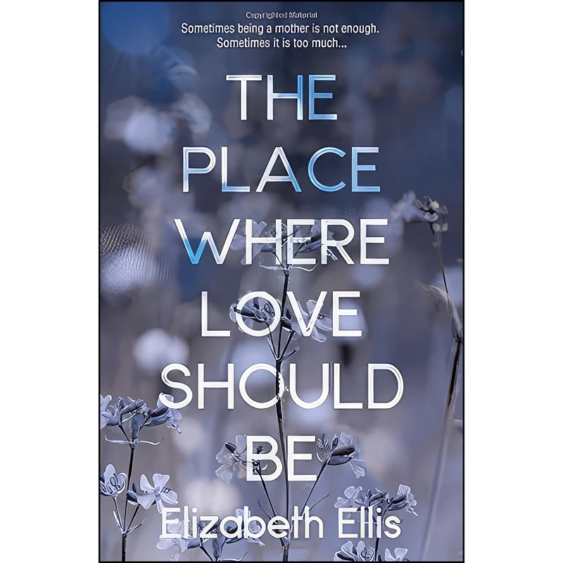 کتاب Place Where Love Should Be اثر Elizabeth Ellis انتشارات Matador