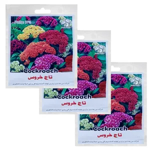 بذر گل تاج خروس گرین فارم کد GRFT 1 بسته 3 عددی