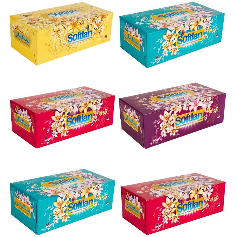 دستمال کاغذی 300 برگ سافتلن مدل باغ بهشت بسته 6 عددی دستمال کاغذی 300 برگ سافتلن مدل باغ بهشت بسته 6 عددی