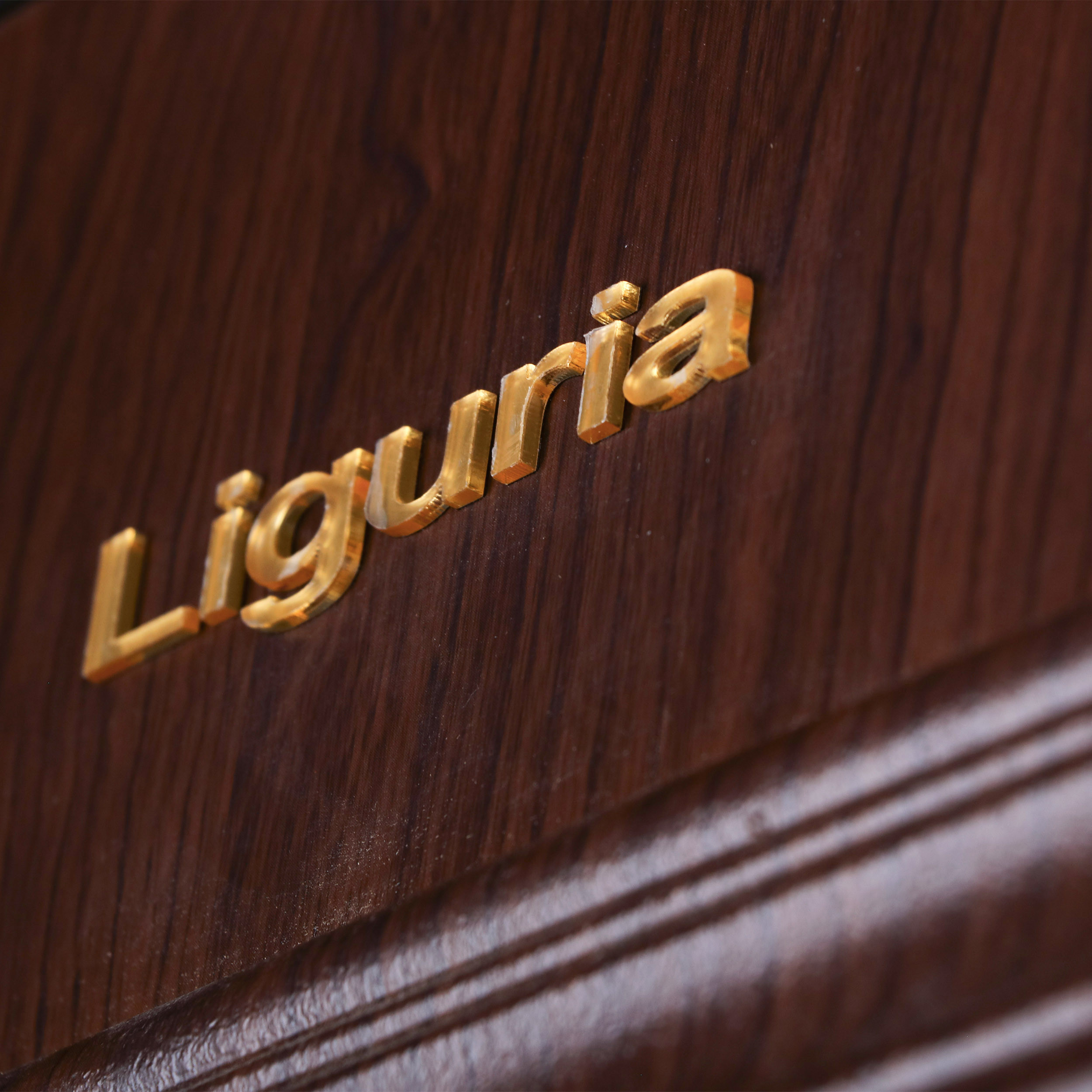 درب ضد سرقت لیگوریا کد DR01