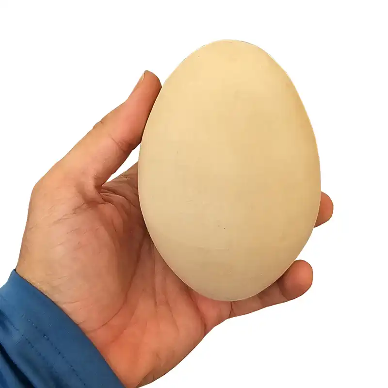 تخممرغ سفالی کد ghaz