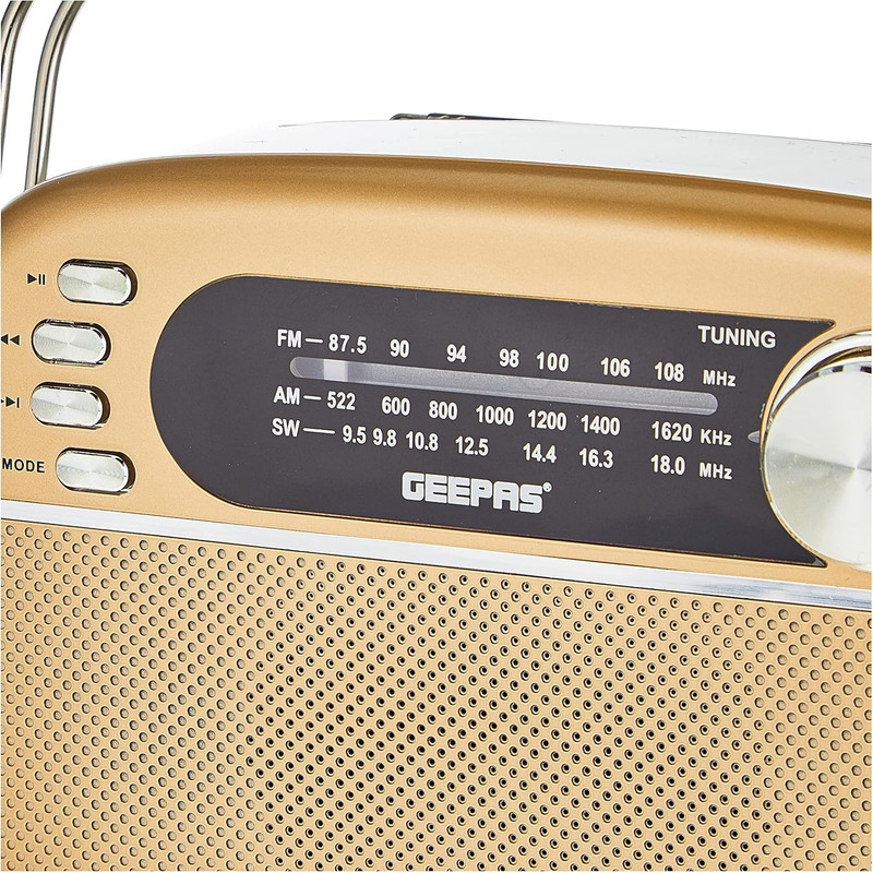 رادیو اسپیکر جی پاس مدل GR13015 دارای پورت USB