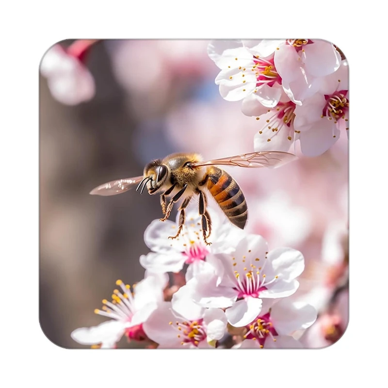 زیر لیوانی کاکتی طرح گل مدل mp16687