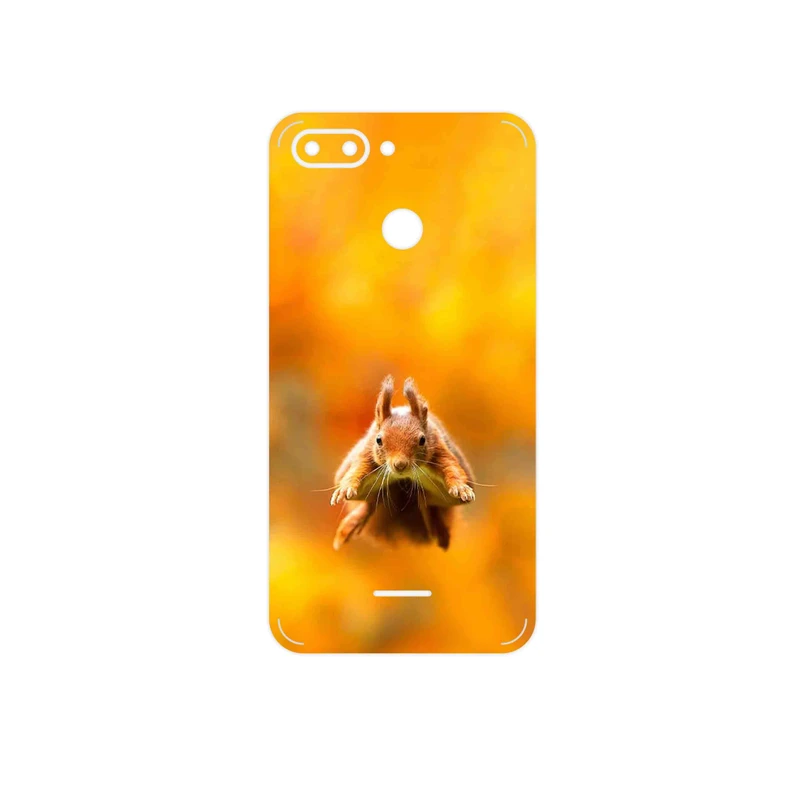 برچسب پوششی ماهوت مدل Squirrel مناسب برای گوشی موبایل شیائومی Redmi 6