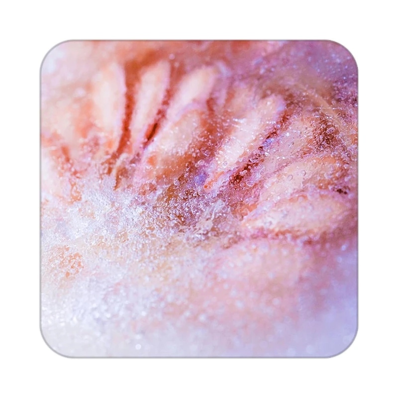 زیر لیوانی کاکتی طرح میوه مدل mp20941