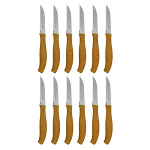 چاقو میوه خوری رومانتیک هوم کد F2009-SW بسته 12 عددی